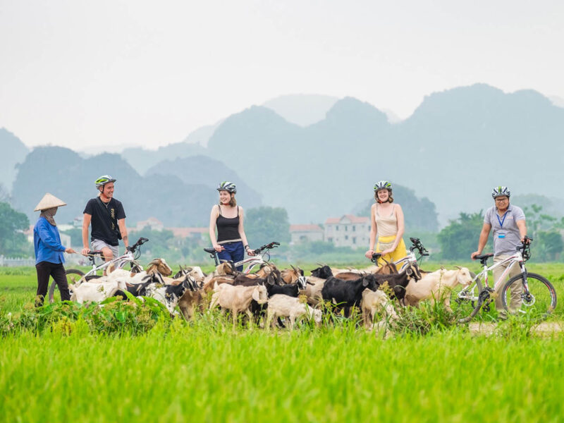 HOA LU - BAI DINH – CYCLING TO BICH DONG AND THUNG NHAM BIRD VALLEY