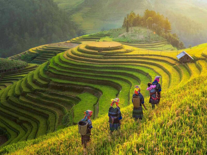 Sapa Tour From Ha Noi