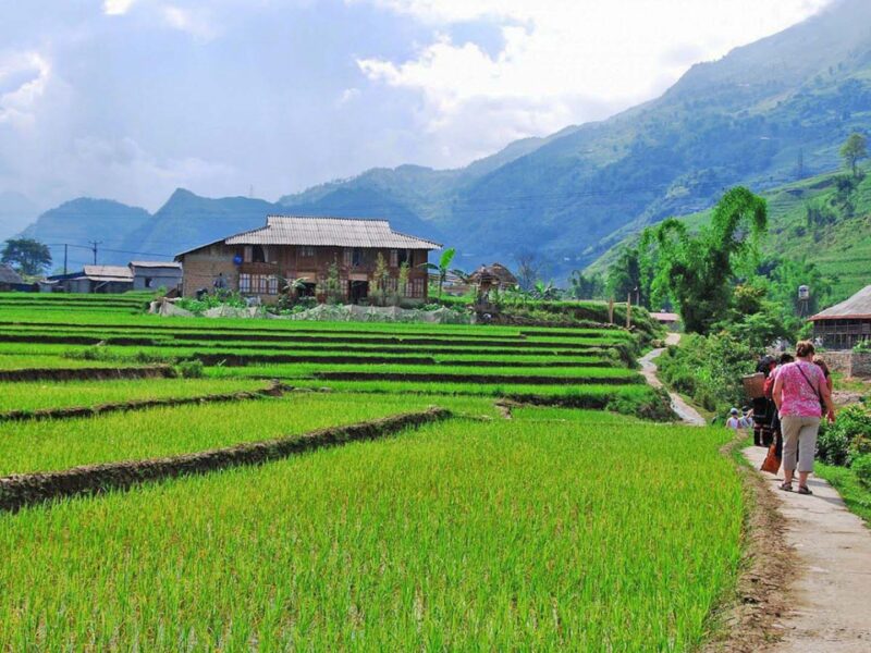 HANOI - SAPA – BAC HA – HANOI  2DAY 1NIGHT