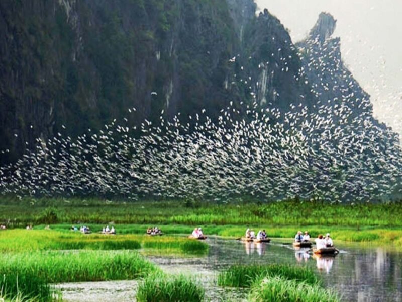 HOA LU - BAI DINH – CYCLING TO BICH DONG AND THUNG NHAM BIRD VALLEY