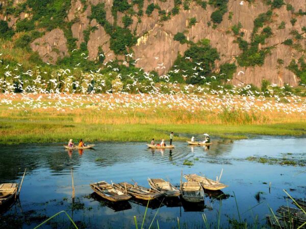 HOA LU - BAI DINH – CYCLING TO BICH DONG AND THUNG NHAM BIRD VALLEY