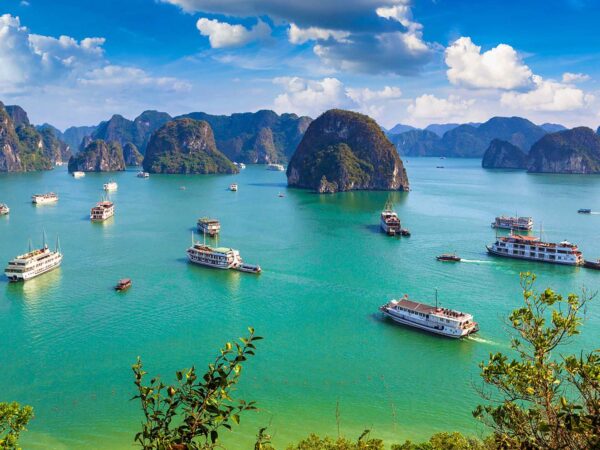 HALONG ALOVA PREMIUM CRUISES