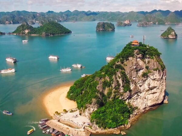 WEGO HALONG CRUISE 1 DAY TRIP