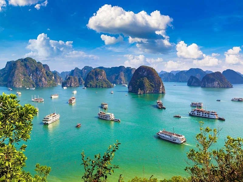 What many kinds of Halong Bay tour?