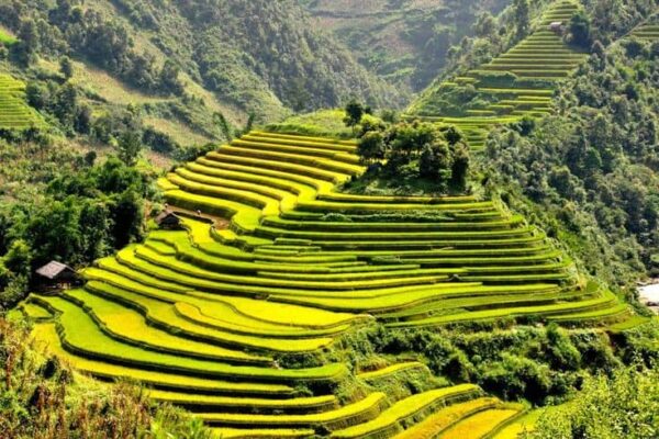 What to Do in Sapa? - Handbook for travelers