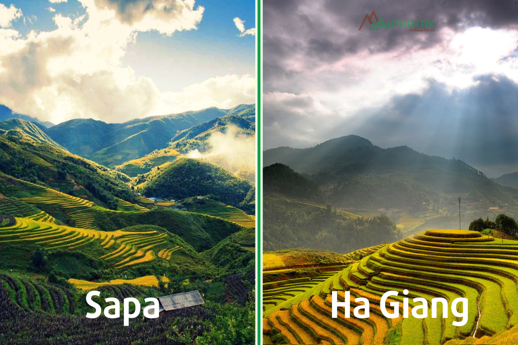 Sapa to Ha Giang - Exciting and memorable journey