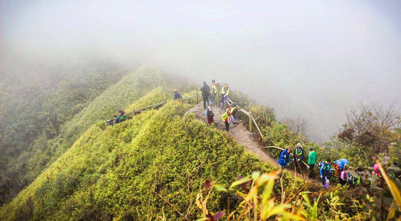 Day Hike Fansipan Mountain from Sapa